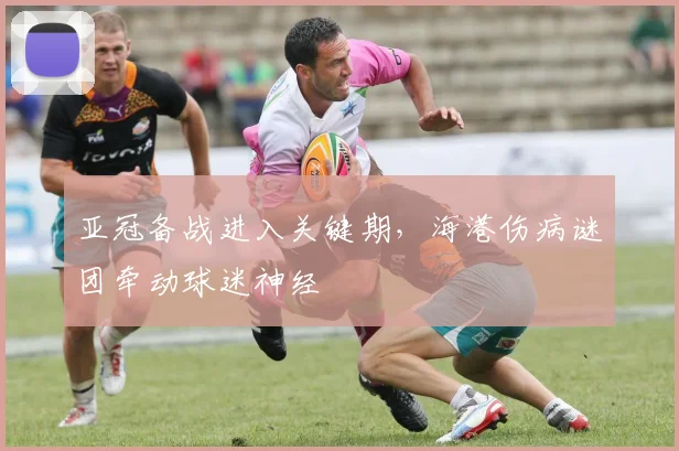 亚冠备战进入关键期，海港伤病谜团牵动球迷神经