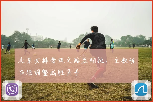 北京女排晋级之路显韧性，主教练临场调整成胜负手